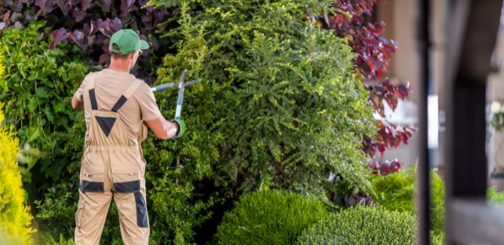 Cleaning Services